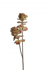 Succulent - Lila - 55 cm - www.frokenfraken.se