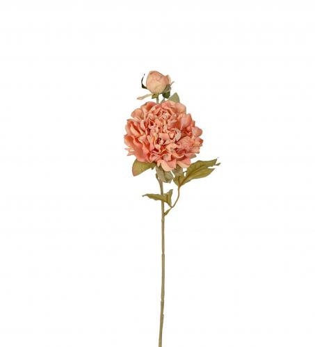 Pion - Rosa - 45 cm - www.frokenfraken.se