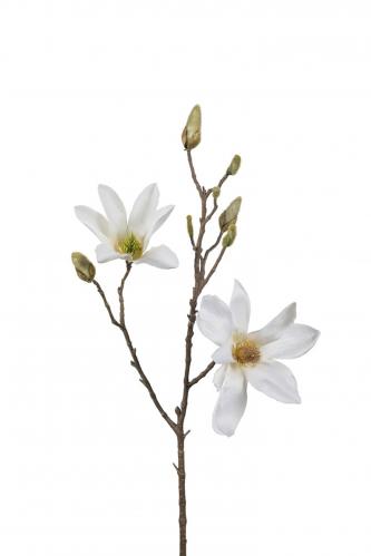 Magnolia - Vit - 70 cm - www.frokenfraken.se