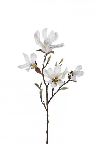 Magnolia - Vit - 50 cm - www.frokenfraken.se