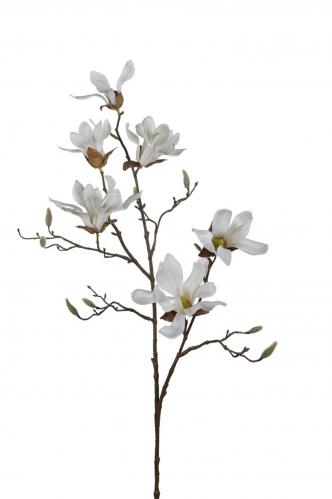 Magnolia - Vit - 100 cm - www.frokenfraken.se