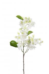 Hortensia - Vit - 90 cm - www.frokenfraken.se