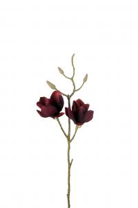 Magnolia - Röd - 40 cm - www.frokenfraken.se