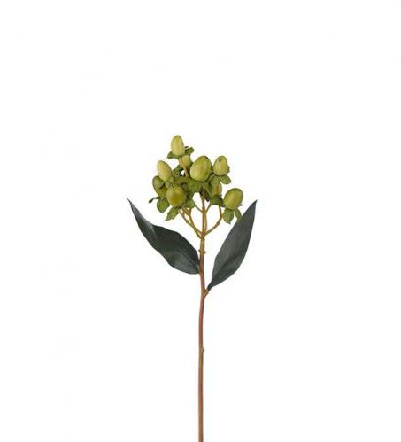 Brkvist - Hypericum - Grn - 28 cm - www.frokenfraken.se