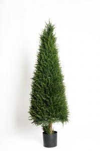 En - 110 cm - www.frokenfraken.se