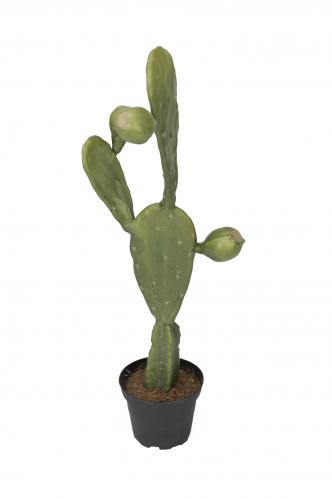 Kaktus - Grn - 44 cm - www.frokenfraken.se
