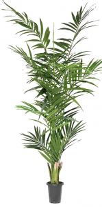 Kentia palm - Konstväxt - 210 cm - www.frokenfraken.se