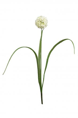 XXX_SLUT_Allium - Vit - 40 cm - www.frokenfraken.se