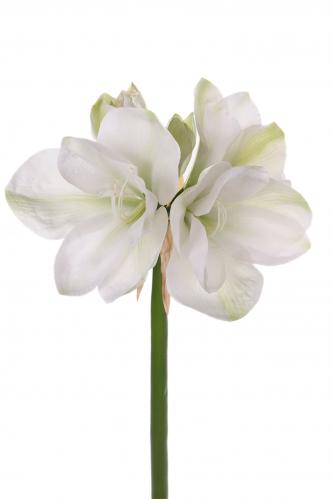 Amaryllis - Vit - 75 cm - www.frokenfraken.se