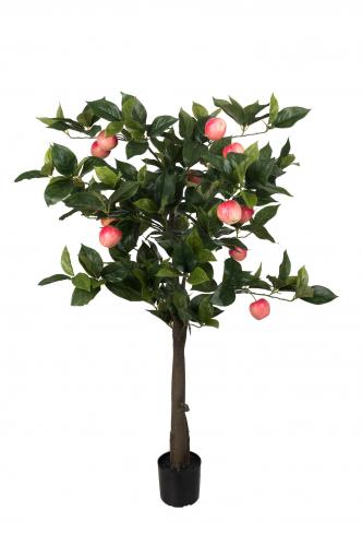 Äppelträd - 110 cm - www.frokenfraken.se