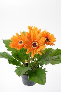 Gerbera - Orange - 30 cm - www.frokenfraken.se