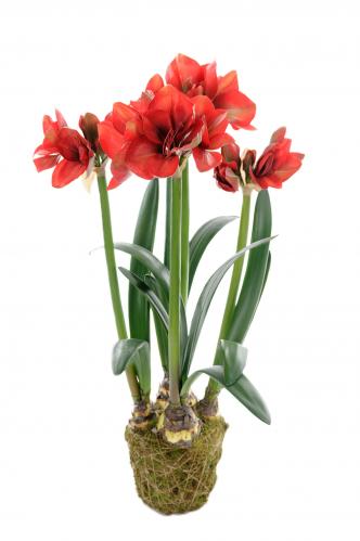 Amaryllis - Röd - 100 cm - www.frokenfraken.se