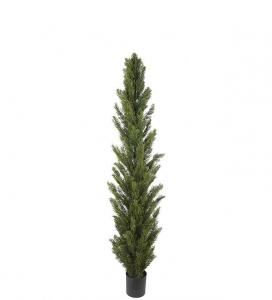 Cypress - Grön - 150 cm - www.frokenfraken.se