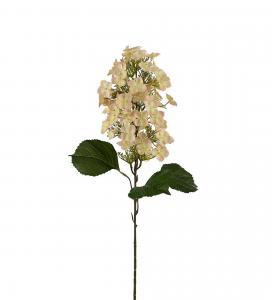 Syrénhortensia - Rosa - 80 cm - www.frokenfraken.se