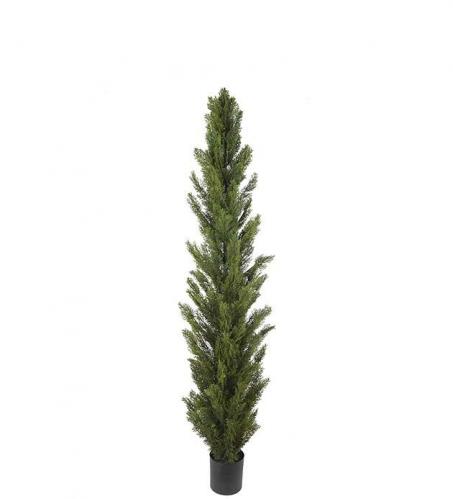 Cypress - Grn - 150 cm - www.frokenfraken.se