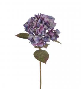 Hortensia - Blå - 65 cm - www.frokenfraken.se