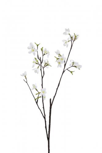 Körsbärsblom - Vit - 60 cm - www.frokenfraken.se