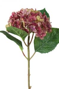 Hortensia - Bordeaux-Lila sidenblomma - Ø12 cm - www.frokenfraken.se