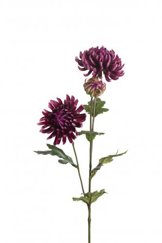 Chrysanthemum - Lila - 60 cm - www.frokenfraken.se