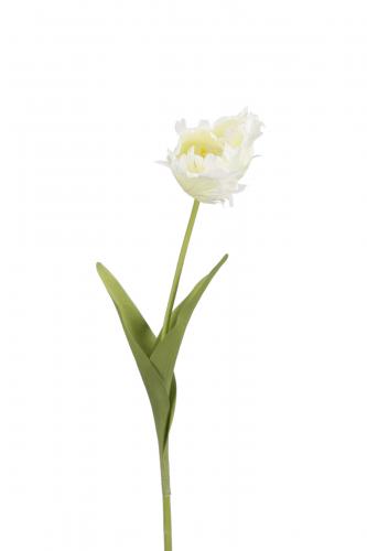 Tulpan - Vit - 70 cm - www.frokenfraken.se