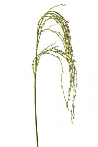 Kvist - Vit - 75 cm - www.frokenfraken.se