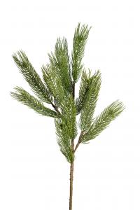 Tall - Grön - 90 cm - www.frokenfraken.se