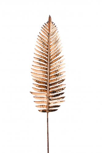 Palm blad - Brun - 95 cm - www.frokenfraken.se