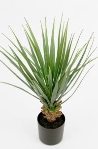 Yucca - Grön - 58 cm - www.frokenfraken.se