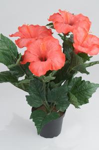 Hibiscus - Röd - 36 cm - www.frokenfraken.se