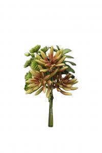 Succulent bukett - Grön - 18 cm - www.frokenfraken.se