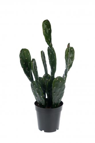 Kaktus - Grn - 50 cm - www.frokenfraken.se