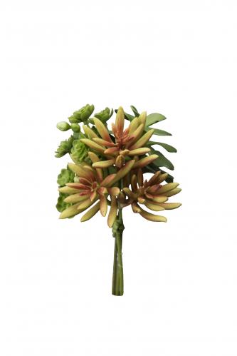 Succulent bukett - Grn - 18 cm - www.frokenfraken.se