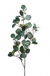 Eucalyptus med bär - Grön - 100 cm - www.frokenfraken.se