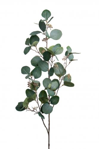 Eucalyptus med br - Grn - 100 cm - www.frokenfraken.se
