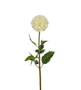 Dahlia - Vit - 90 cm - www.frokenfraken.se