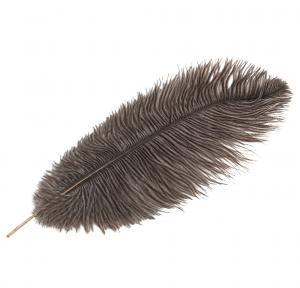 Strutsfjäder - Natur - 35 cm - www.frokenfraken.se