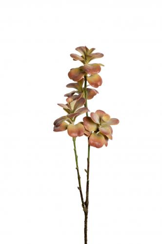Succulent - Lila - 50 cm - www.frokenfraken.se