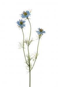 Nigella - Blå - 60 cm - www.frokenfraken.se