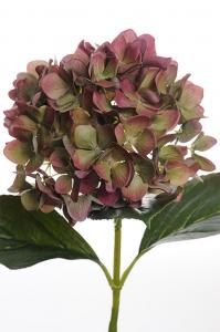 Hortensia - Röd - 65 cm - www.frokenfraken.se