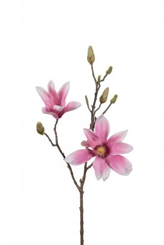 Magnolia - Rosa - 70 cm - www.frokenfraken.se