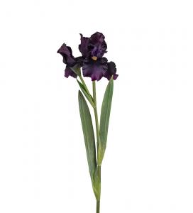 Iris - Blå - 80 cm - www.frokenfraken.se