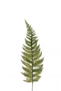 Ormbunksblad - - 38 cm - www.frokenfraken.se