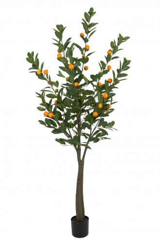 Citrus - Grn - 180 cm - www.frokenfraken.se