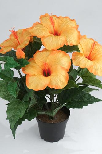 Hibiscus - Orange - 36 cm - www.frokenfraken.se