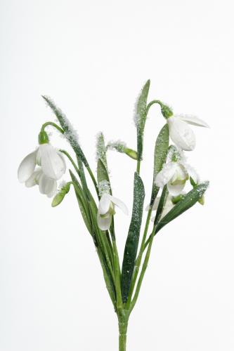Snödroppe med snö - Vit - 30 cm - www.frokenfraken.se