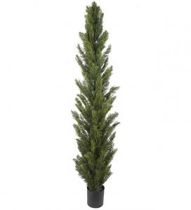 Cypress - Grön - 210 cm - www.frokenfraken.se