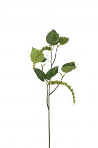 Amaranthus - 55 cm - www.frokenfraken.se