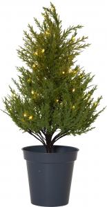 Julträd med belysning - Thuja - 55 cm - www.frokenfraken.se