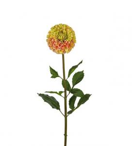 Dahlia - Gul - 90 cm - www.frokenfraken.se