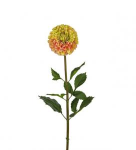 Dahlia - Gul - 90 cm - www.frokenfraken.se